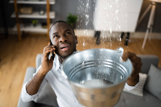 Best Water damage restoration cost  in Stoughton, WI