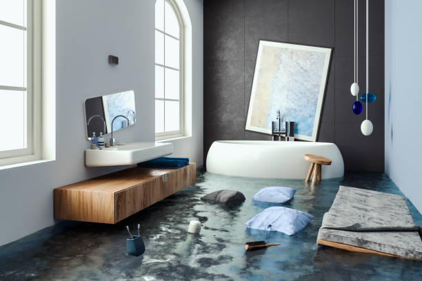 Best Flood restoration services  in Stoughton, WI