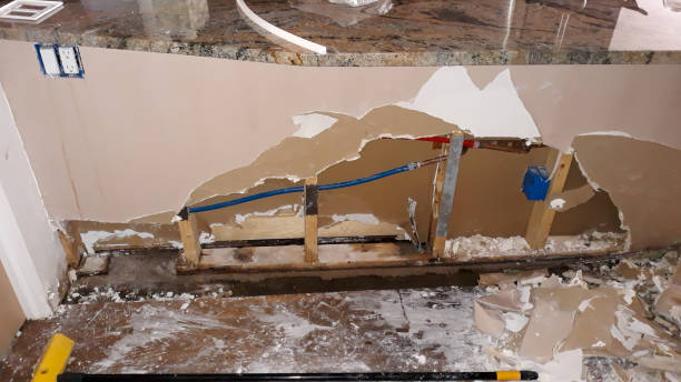 Best Mold removal after water damage  in Stoughton, WI