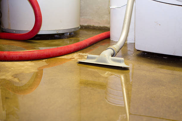 Best Residential water damage restoration  in Stoughton, WI