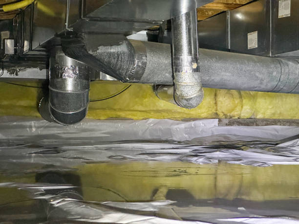 Best Water damage restoration insurance claims  in Stoughton, WI