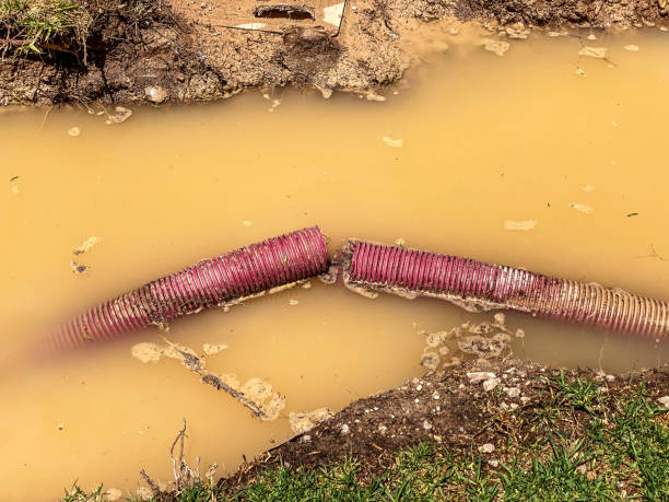 Best Water damage contractors near me  in Stoughton, WI